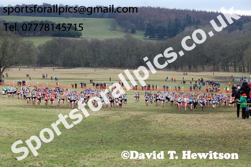 Senior women, 2018 Northern Cross Country Champs., Harewood House, Leeds. Photo: David T. Hewitson/Sports for All Pics